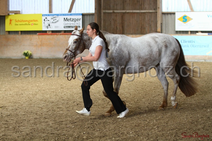 24-ApHC HIH_024.jpg